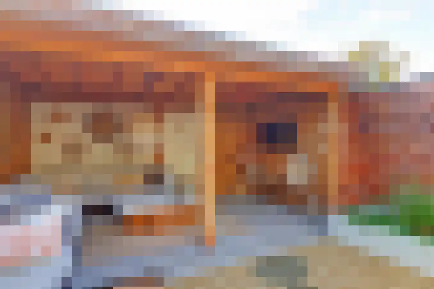 Ring 99 Hendrik-Ido-Ambacht thumbnail 41