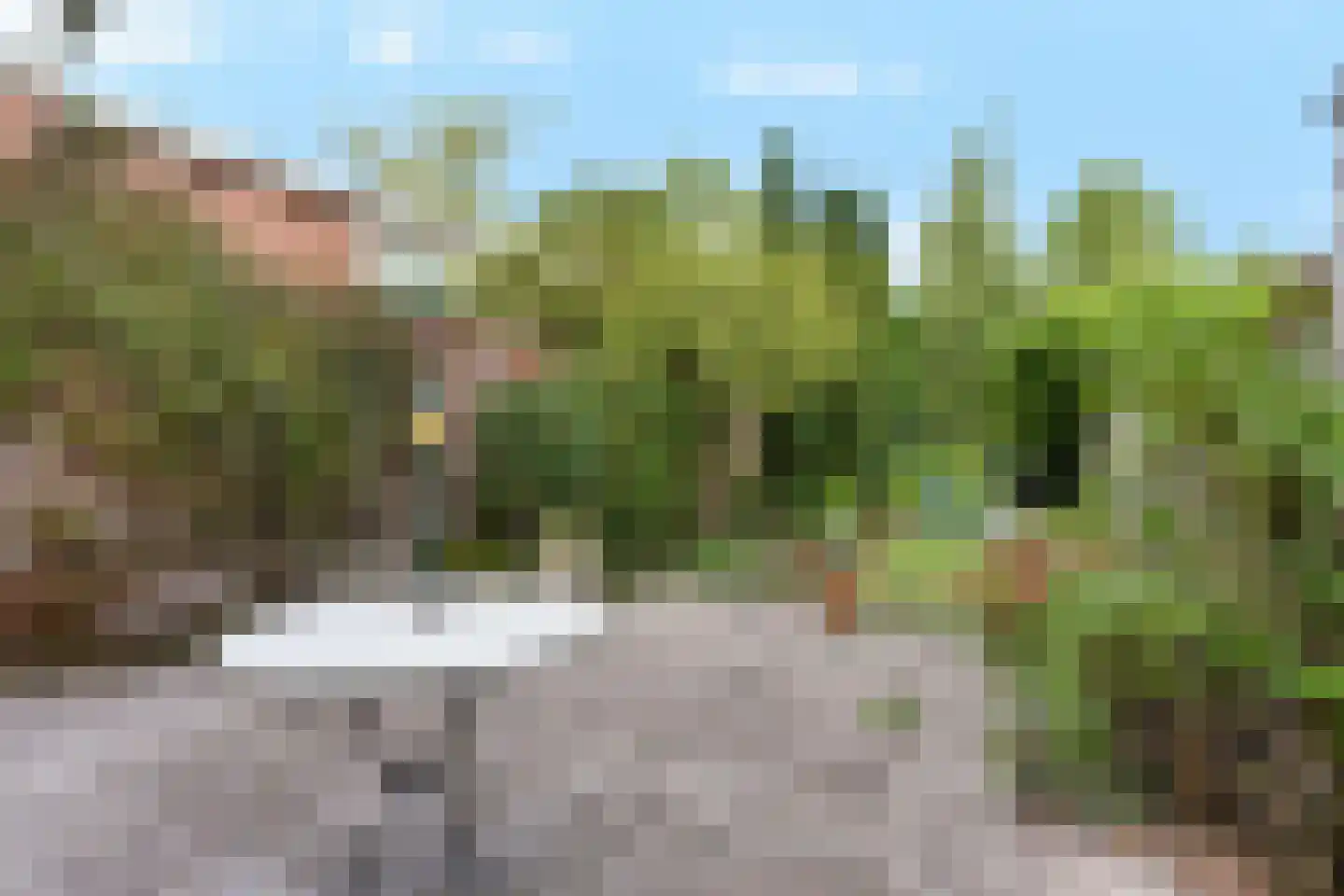 Ringallee 50 Rozendaal thumbnail 36
