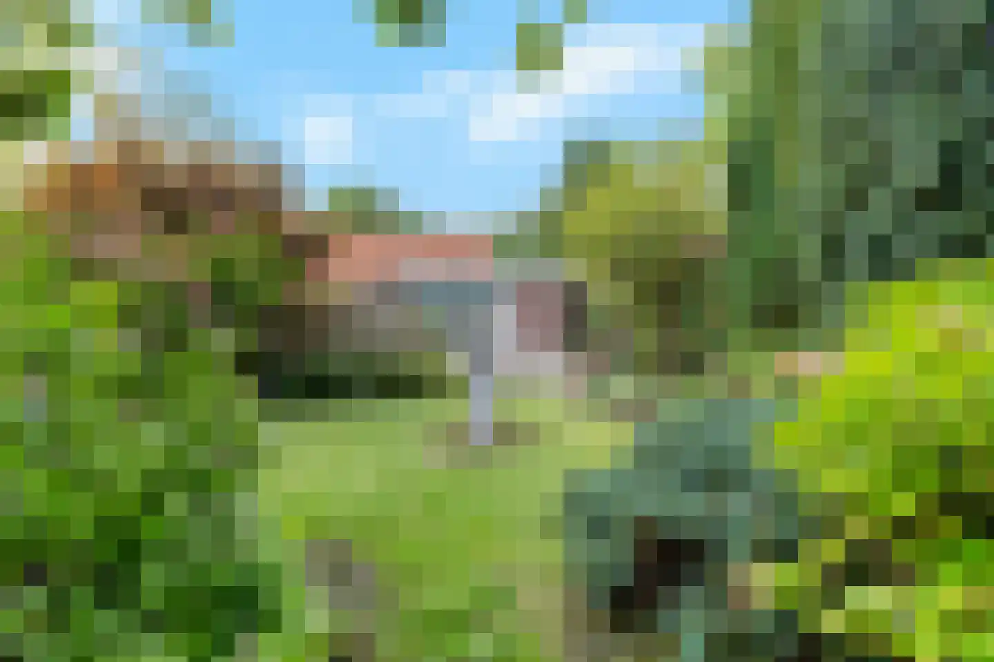 Ringallee 50 Rozendaal thumbnail 38
