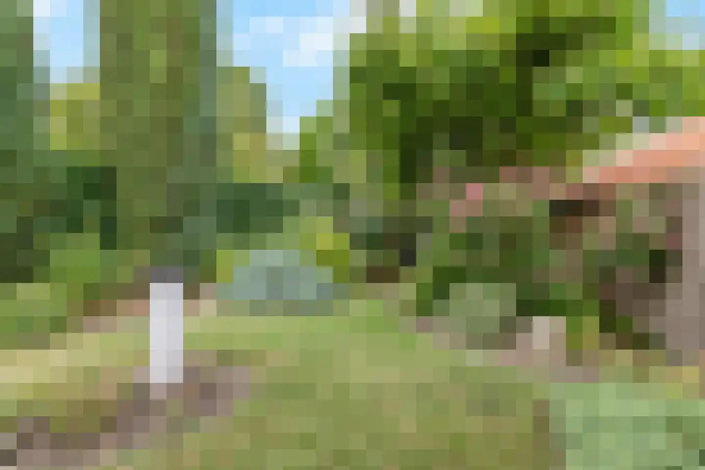 Ringallee 50 Rozendaal thumbnail 39