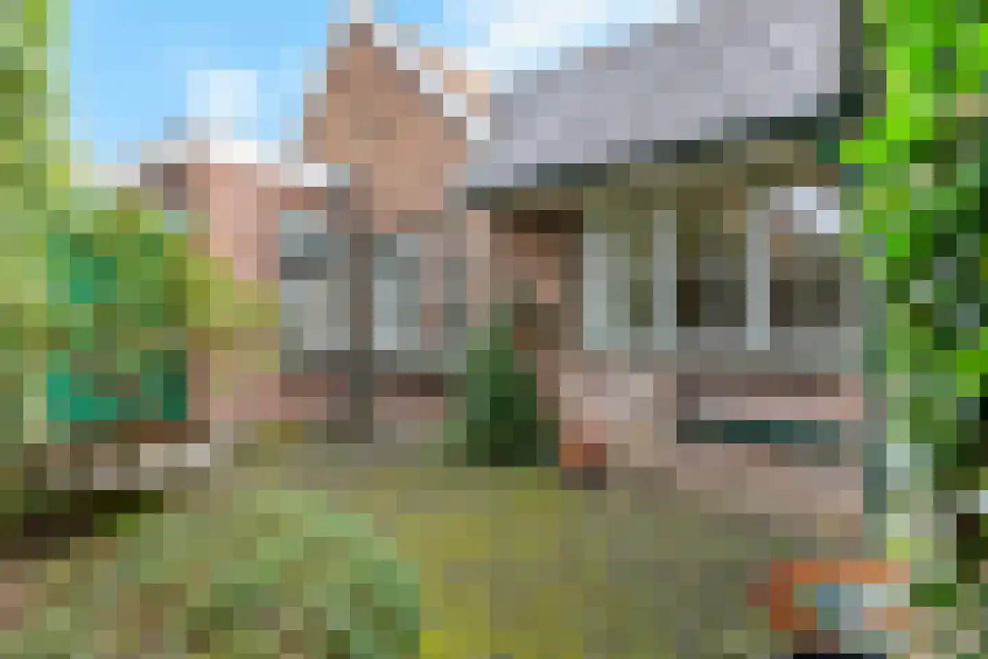 Ringallee 50 Rozendaal thumbnail 45