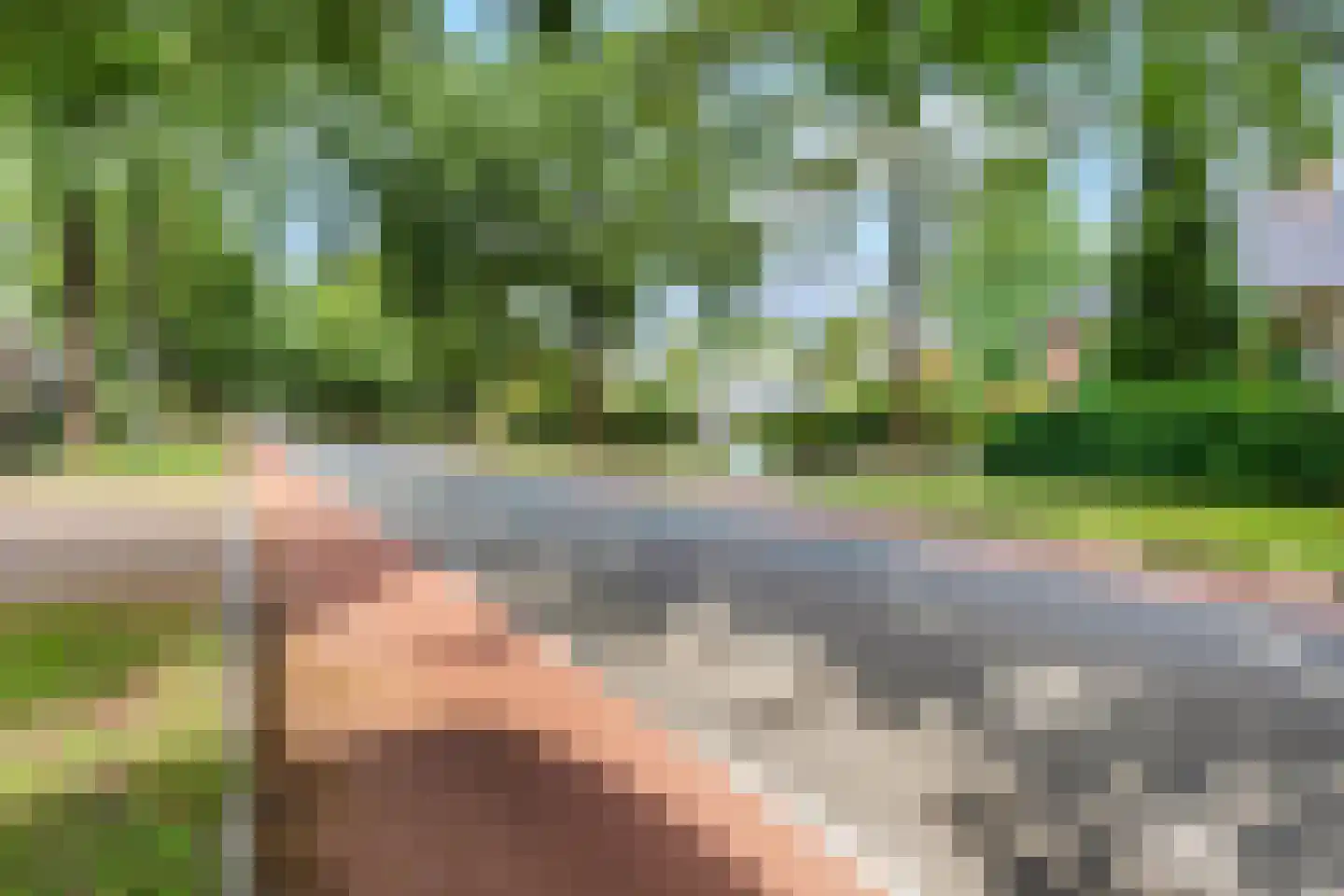 Ringallee 50 Rozendaal thumbnail 48