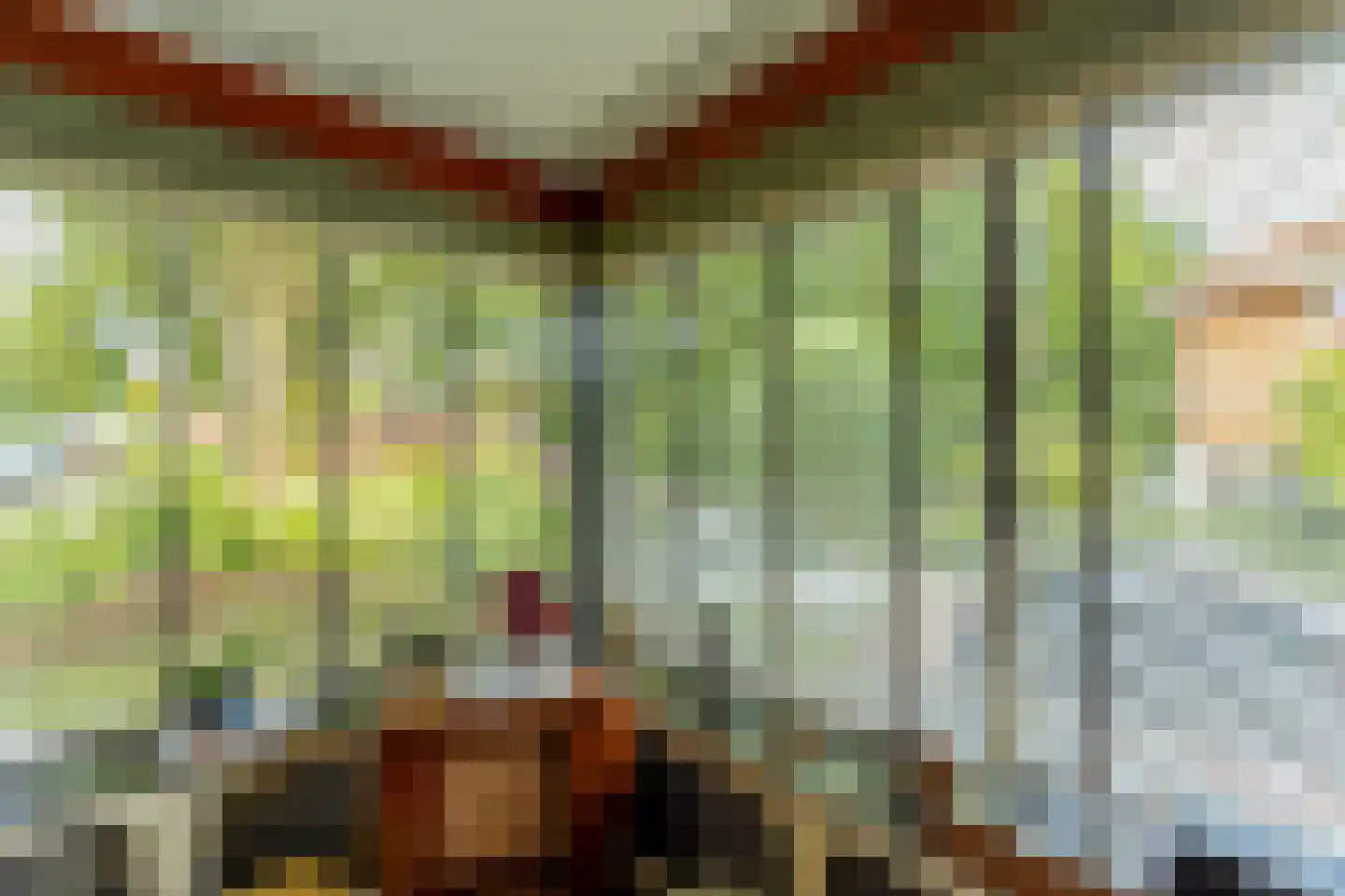 Ringallee 81 Velp thumbnail 12