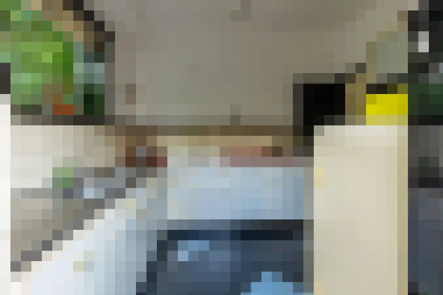 Ringallee 81 Velp thumbnail 15