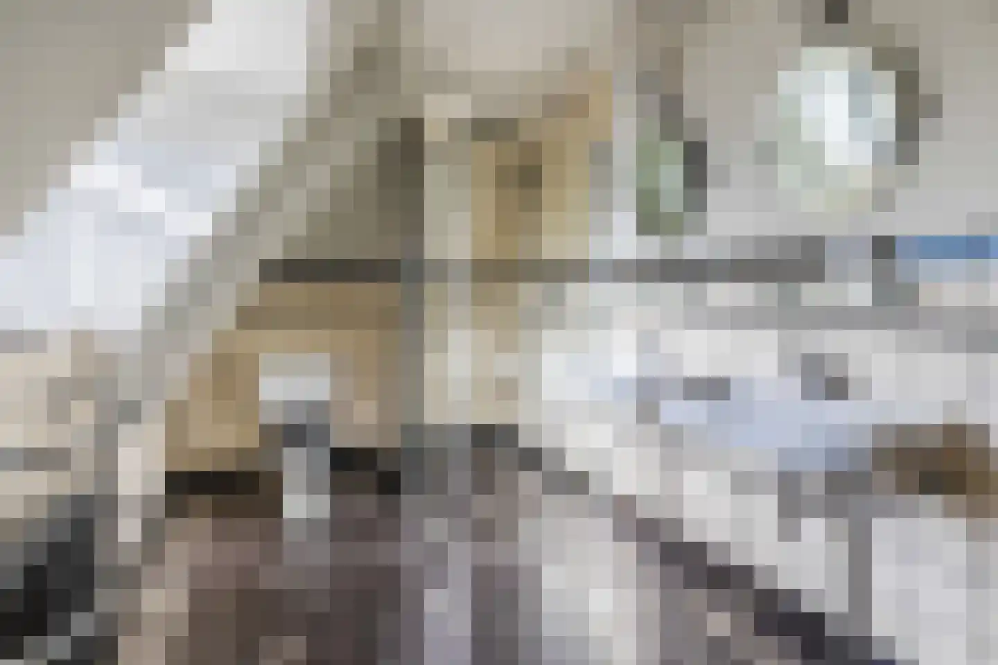 Ringallee 81 Velp thumbnail 22
