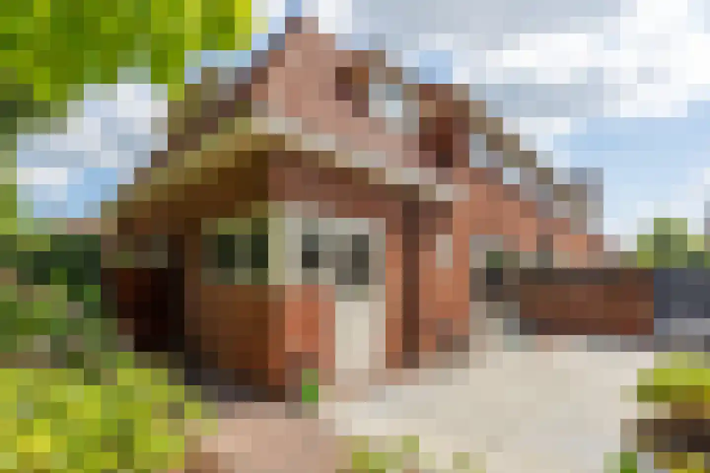 Ringallee 81 Velp thumbnail 24