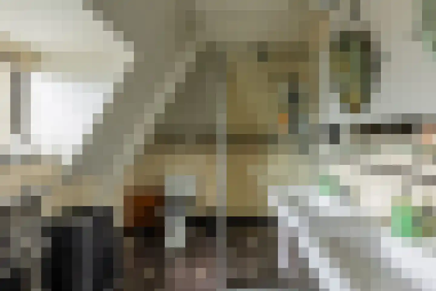 Ringallee 81 Velp thumbnail 25