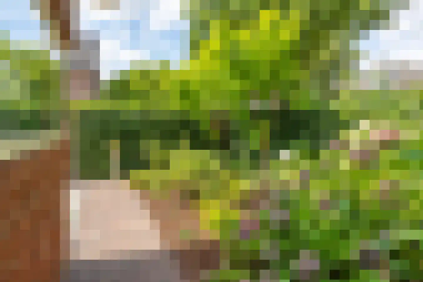 Ringallee 81 Velp thumbnail 31