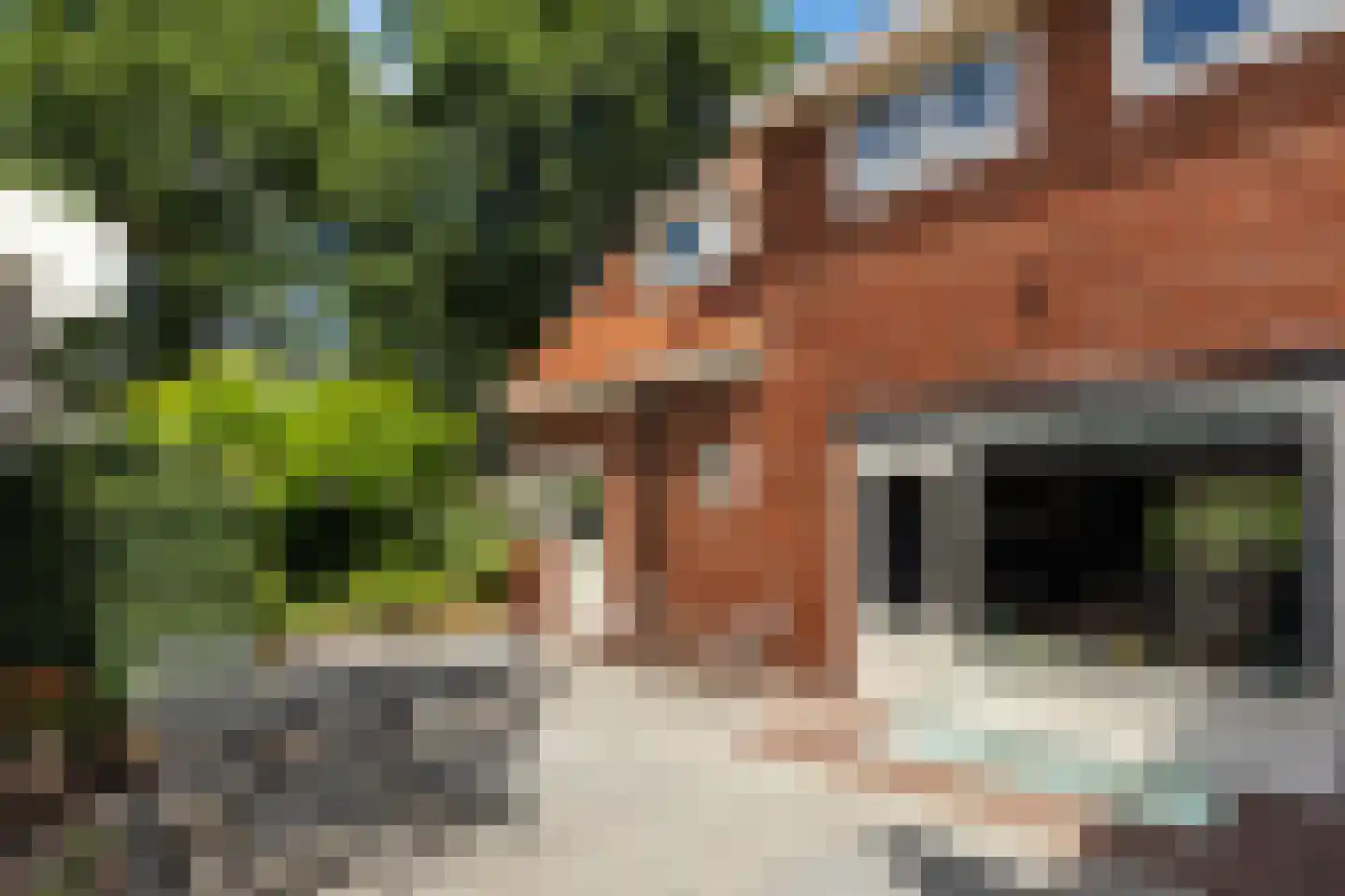 Ringallee 81 Velp thumbnail 33