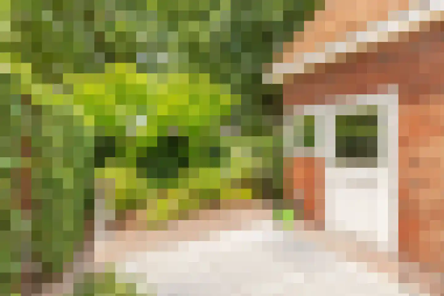 Ringallee 81 Velp thumbnail 34