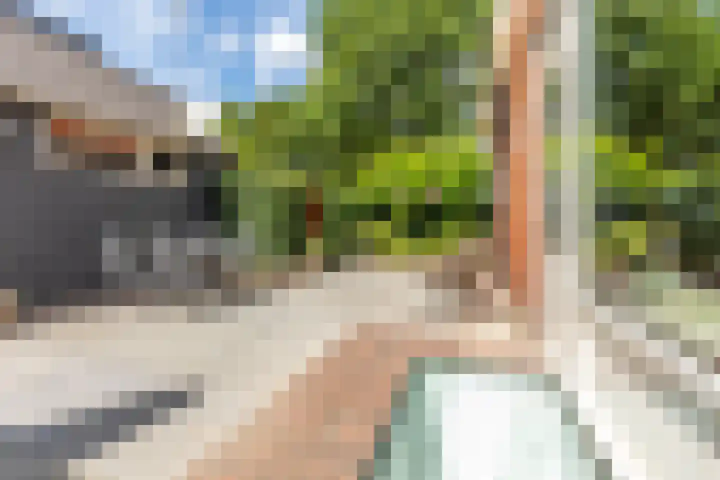 Ringallee 81 Velp thumbnail 36