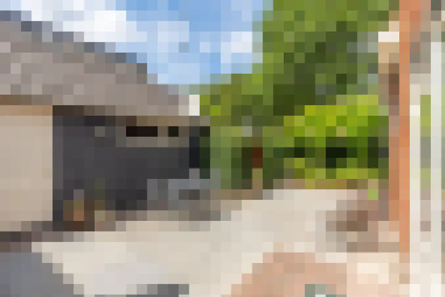 Ringallee 81 Velp thumbnail 37