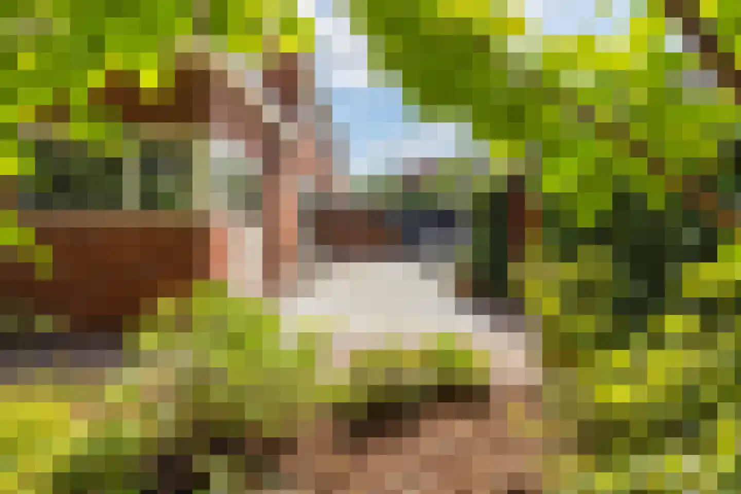 Ringallee 81 Velp thumbnail 38