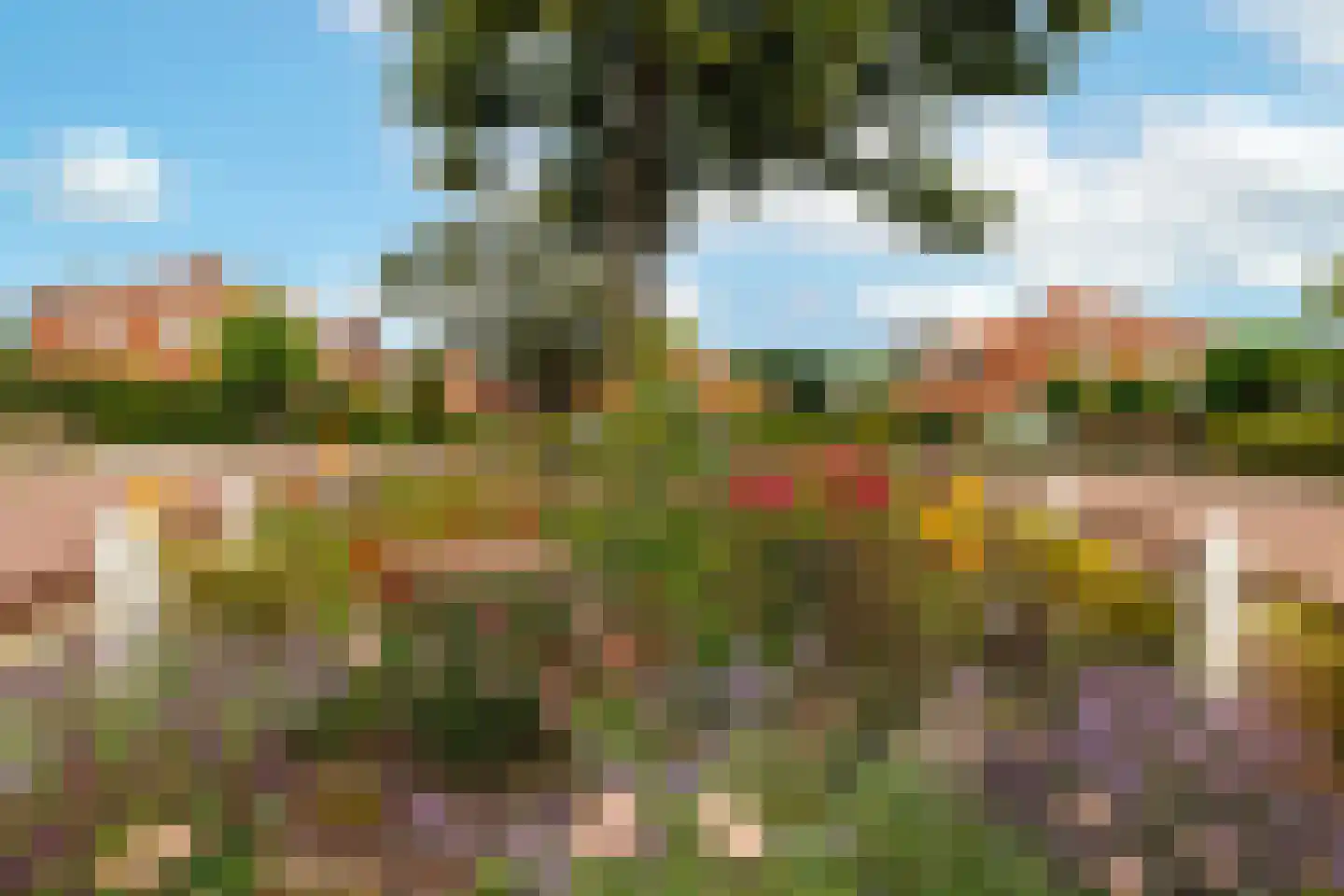 Ringallee 81 Velp thumbnail 40