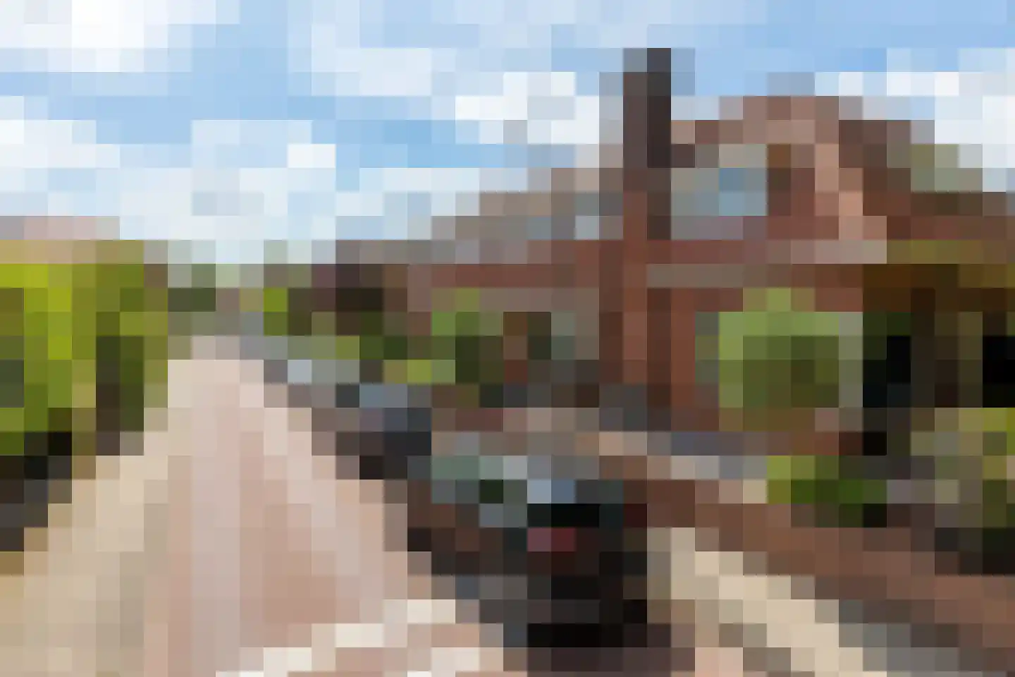 Ringallee 81 Velp thumbnail 41