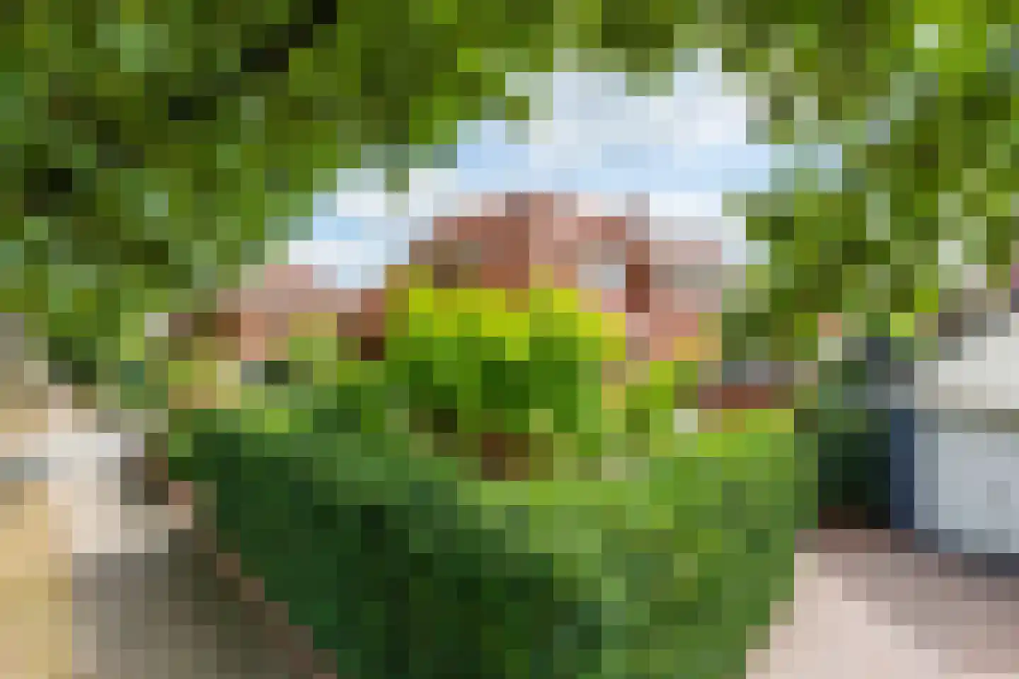 Ringallee 81 Velp thumbnail 42