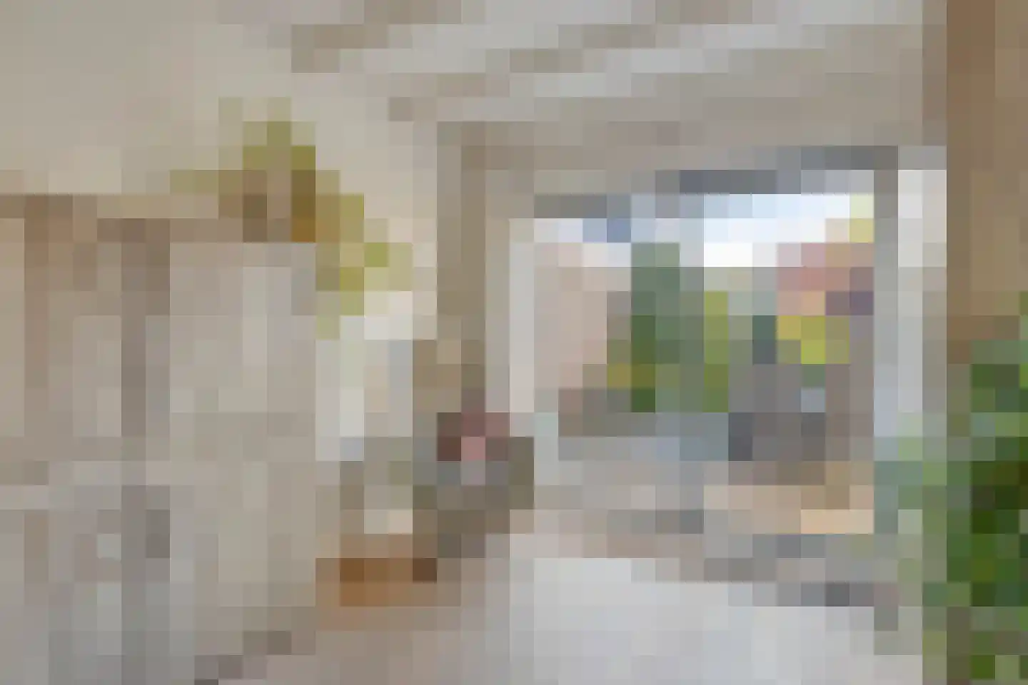 Ringbaan 10 Venhorst thumbnail 15