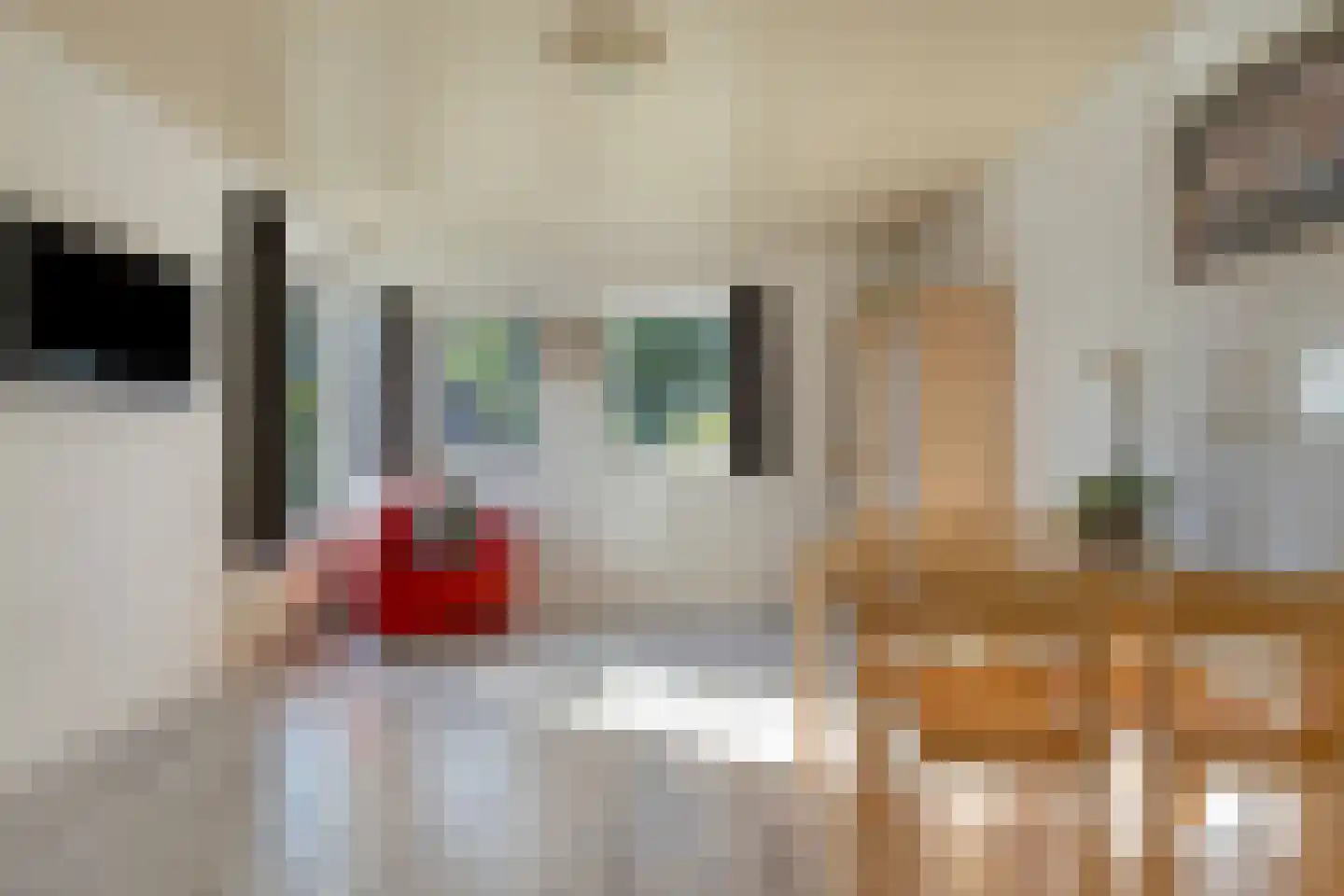 Ringbaan 10 Venhorst thumbnail 20