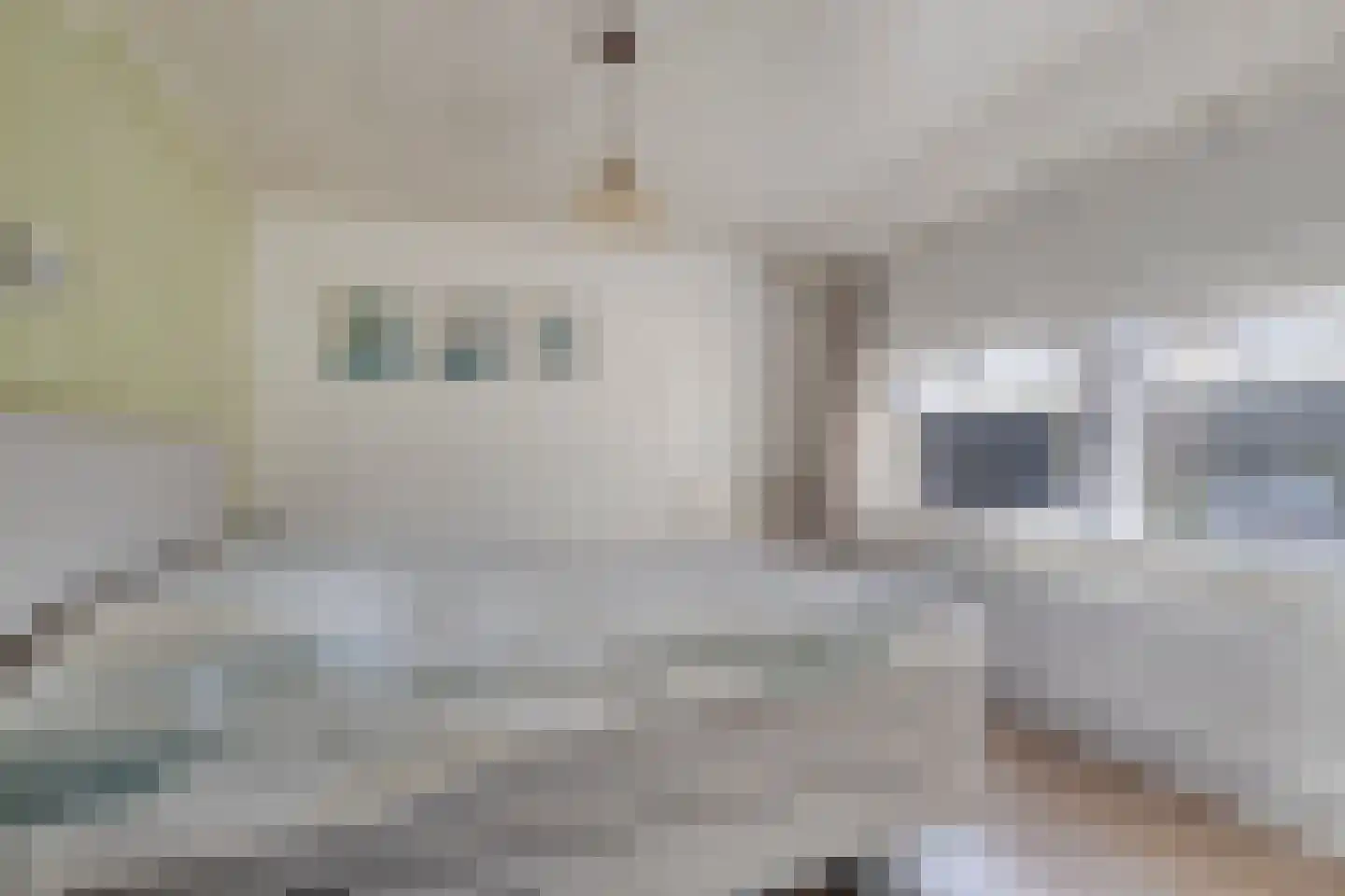 Ringbaan 10 Venhorst thumbnail 23