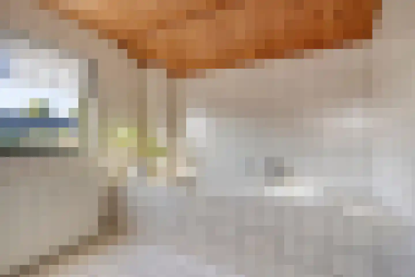 Ringbaan 10 Venhorst thumbnail 28
