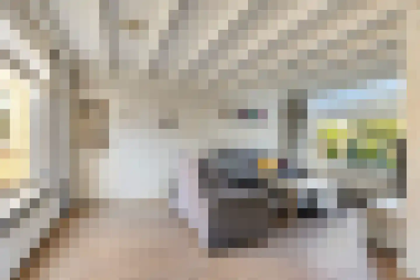Ringbaan 10 Venhorst thumbnail 4
