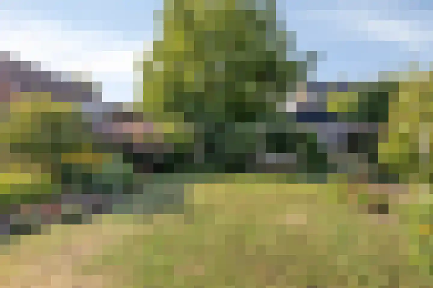 Ringbaan 10 Venhorst thumbnail 41