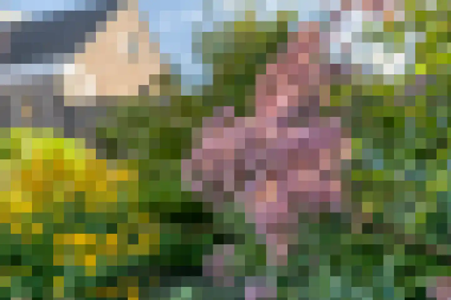 Ringbaan 10 Venhorst thumbnail 42