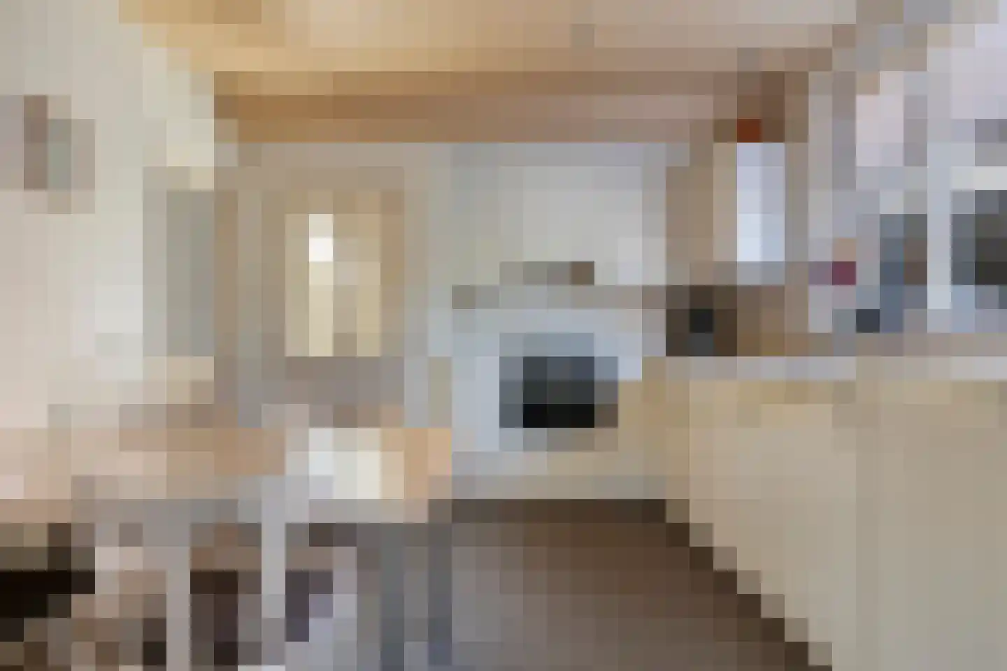 Ringbaan 10 Venhorst thumbnail 5