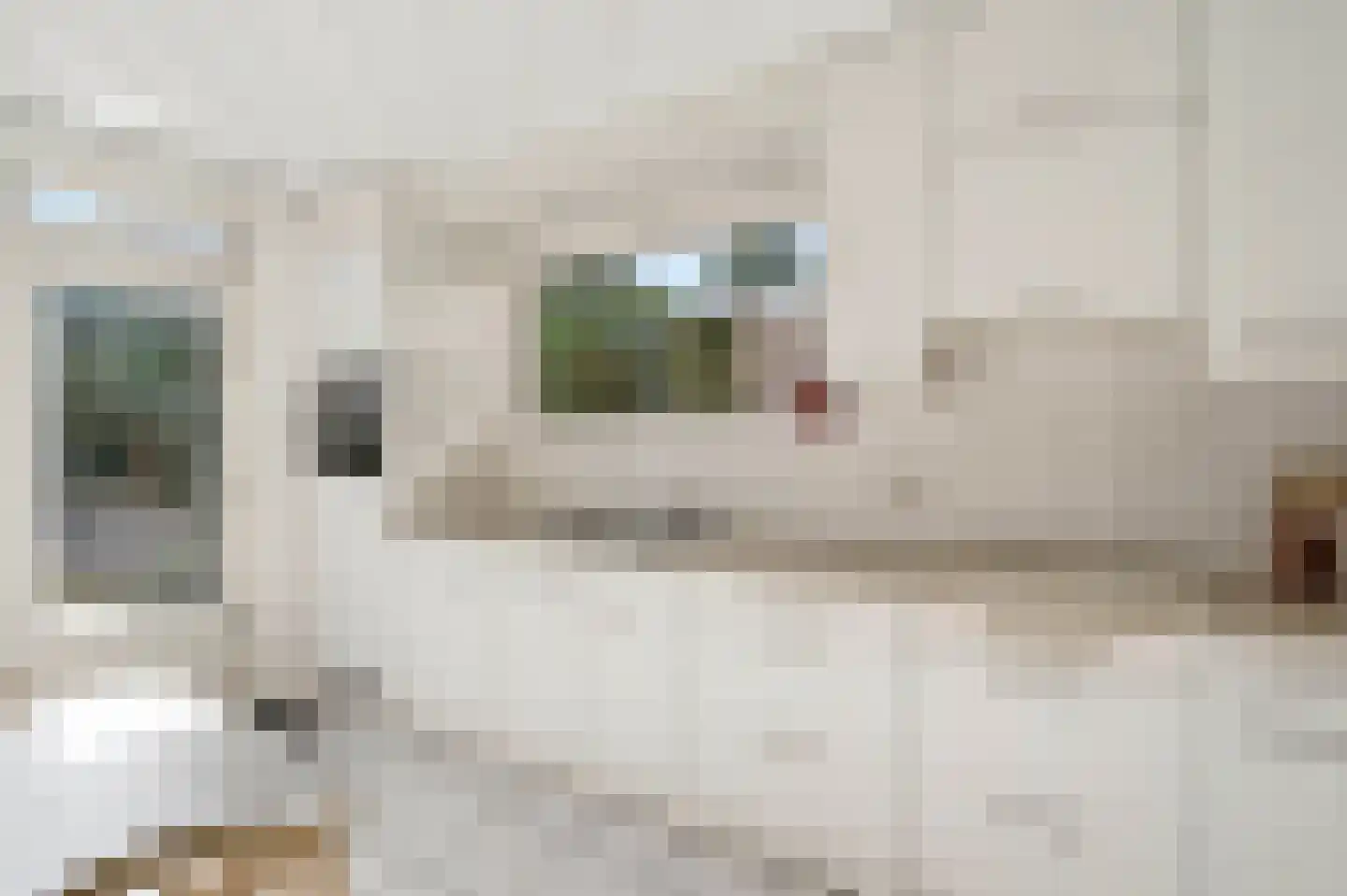 Ringbaan 40 Molenhoek thumbnail 12