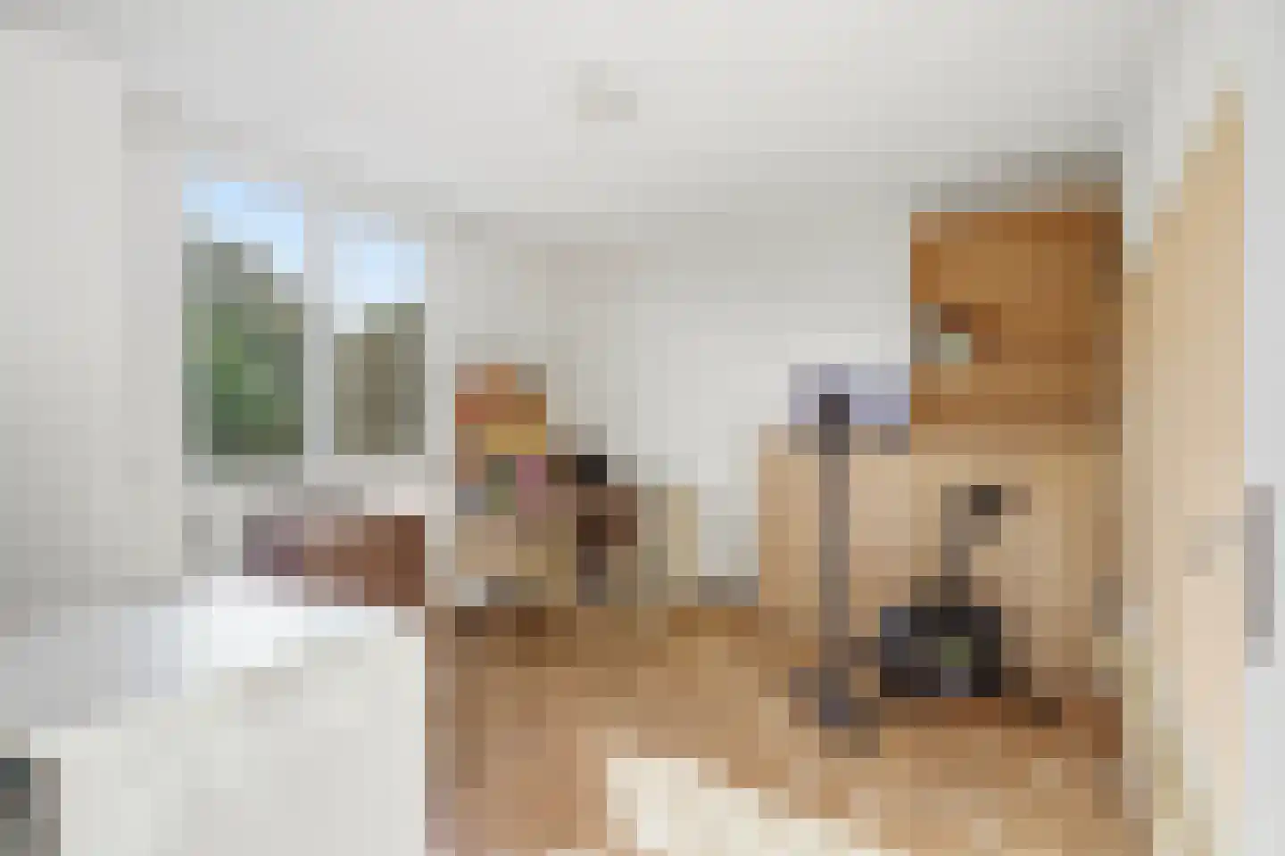 Ringbaan 40 Molenhoek thumbnail 18
