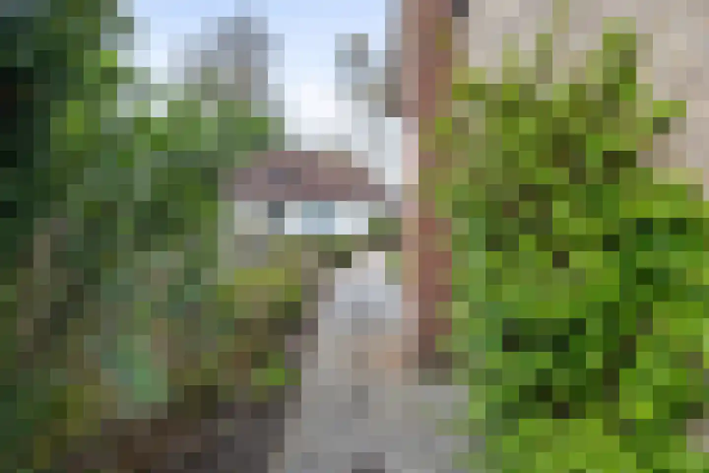 Ringbaan 44 Venhorst thumbnail 34