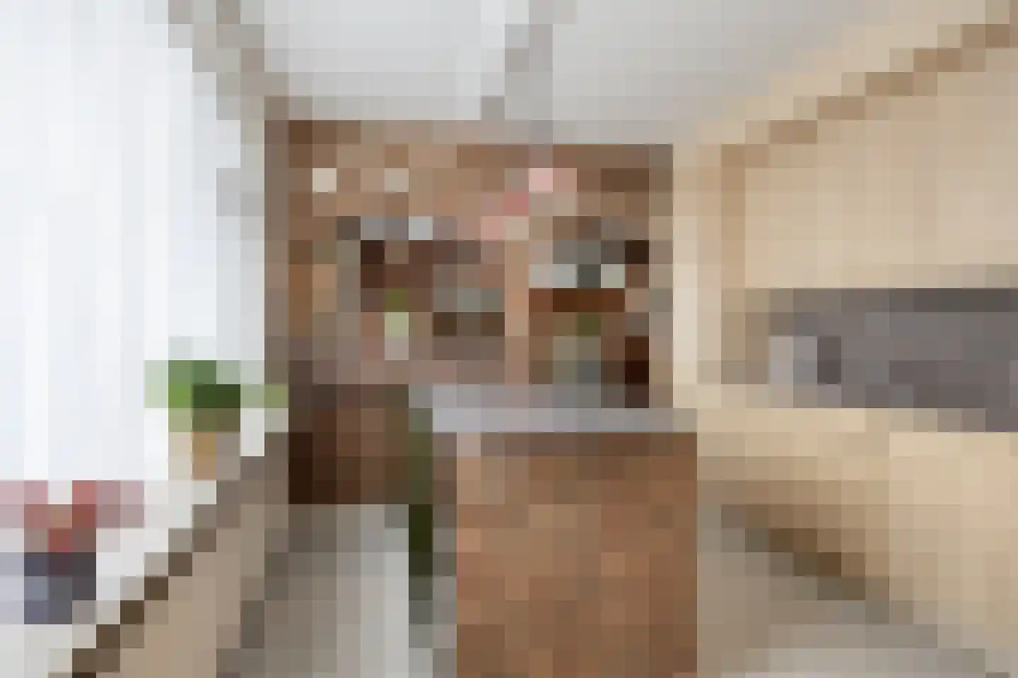 Ringbaan 53 Venhorst thumbnail 4