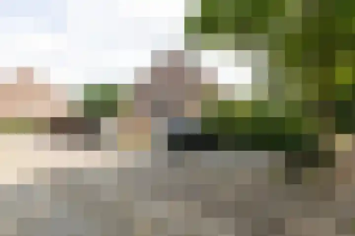 Ringbaan 76 Molenhoek thumbnail 40