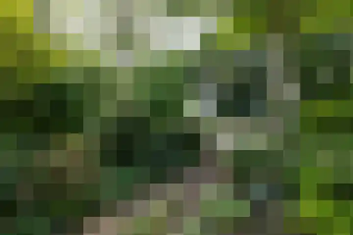 Ringbaan 76 Molenhoek thumbnail 42