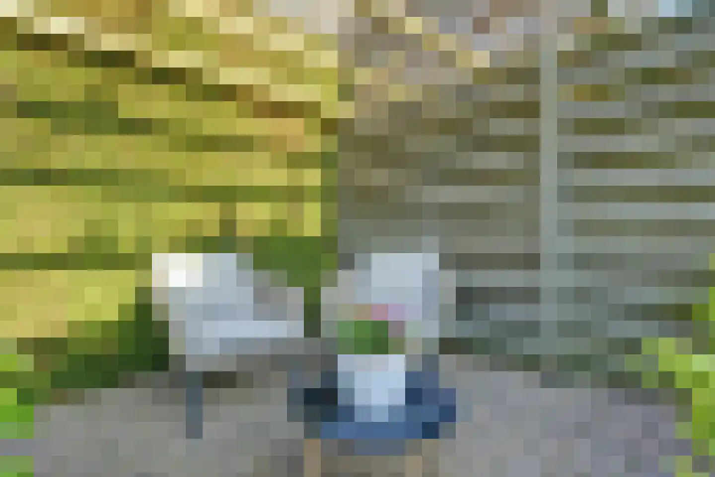 Ringbaan 8 Scherpenzeel thumbnail 21