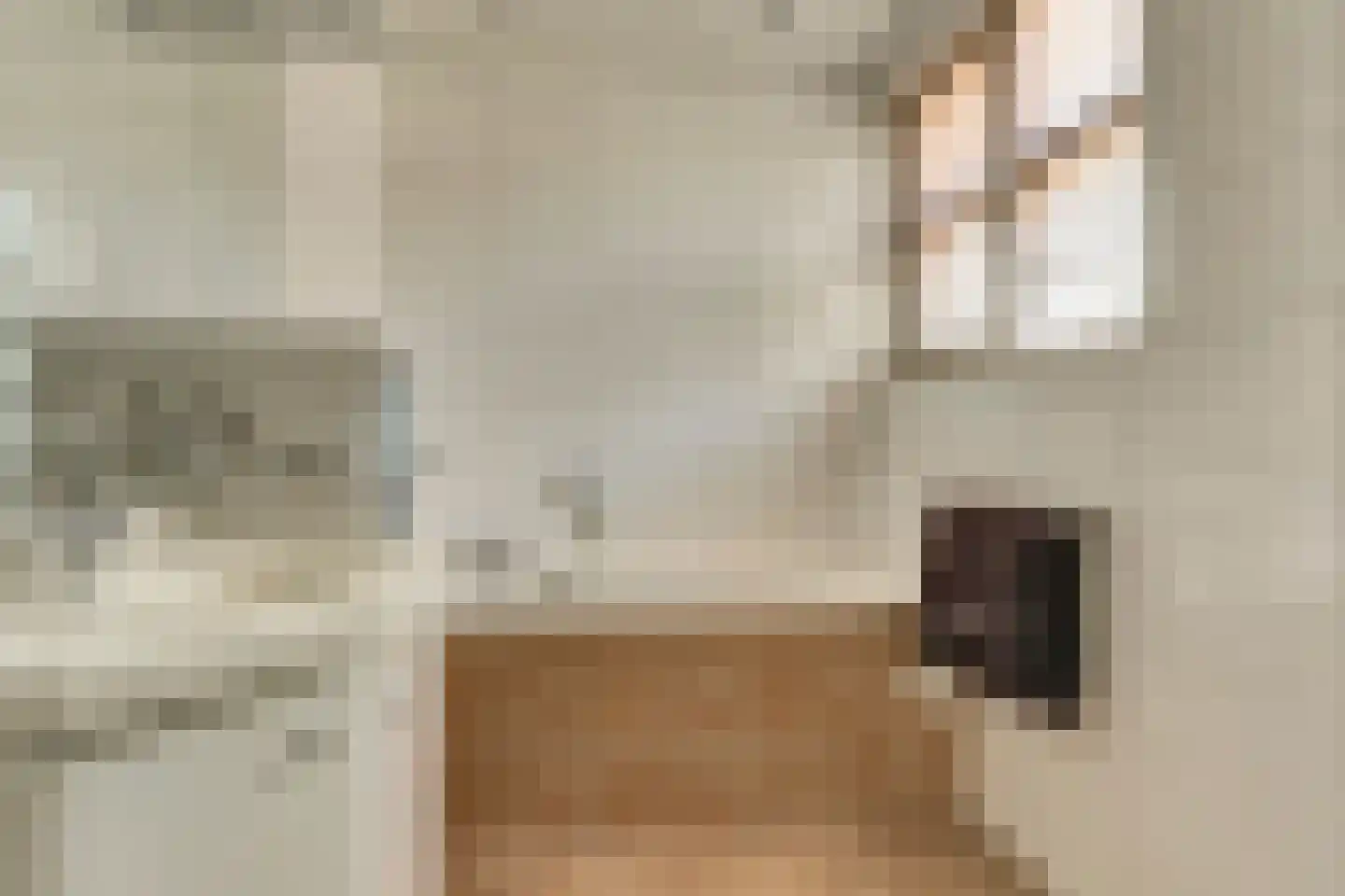 Ringbaan 8 Scherpenzeel thumbnail 31
