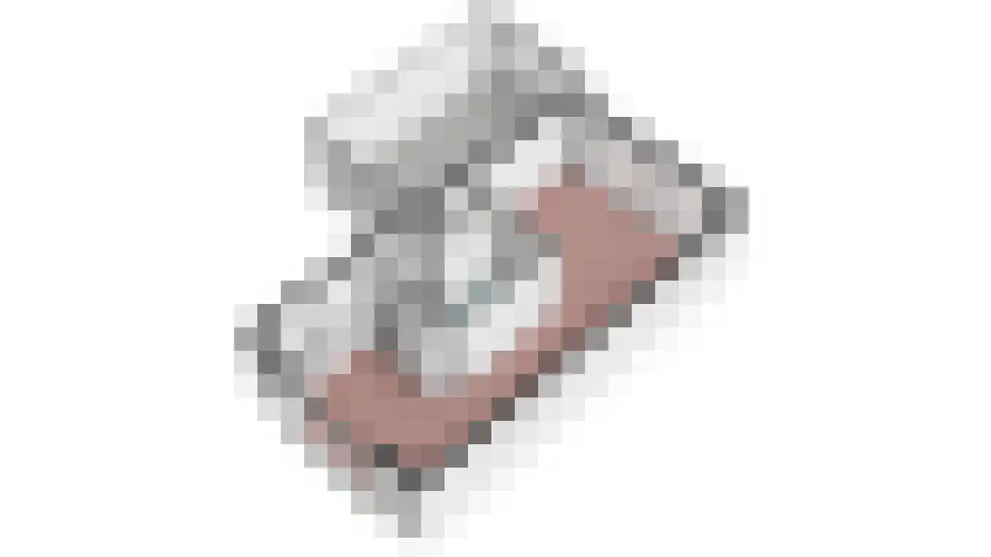 Ringbaan 8 Scherpenzeel thumbnail 42