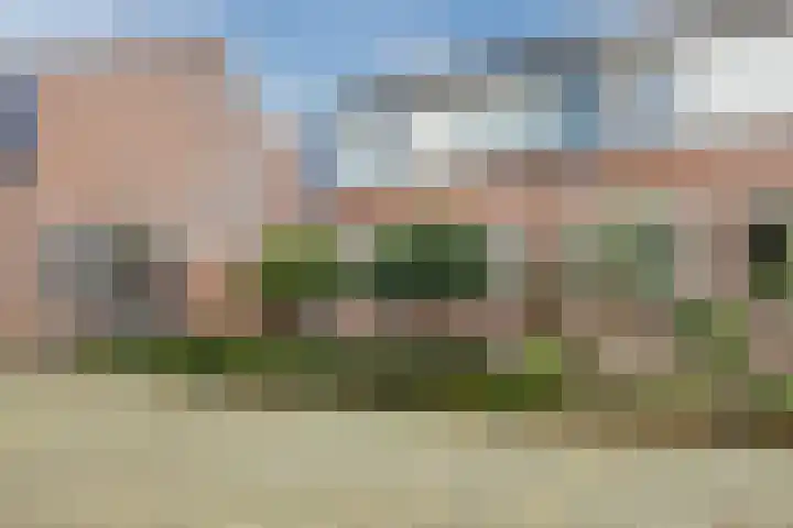 Ringbaan-Noord 14 Uden thumbnail 4