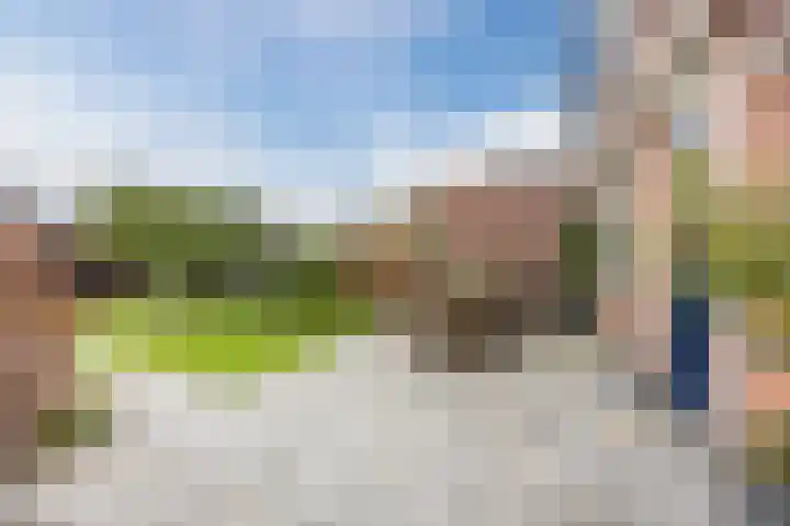 Ringbaan-Noord 14 Uden thumbnail 48