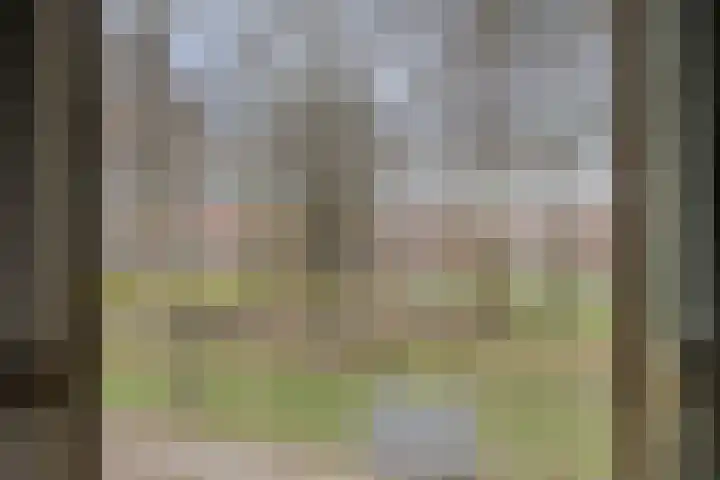 Ringbaan-Noord 156 20 Tilburg thumbnail 8