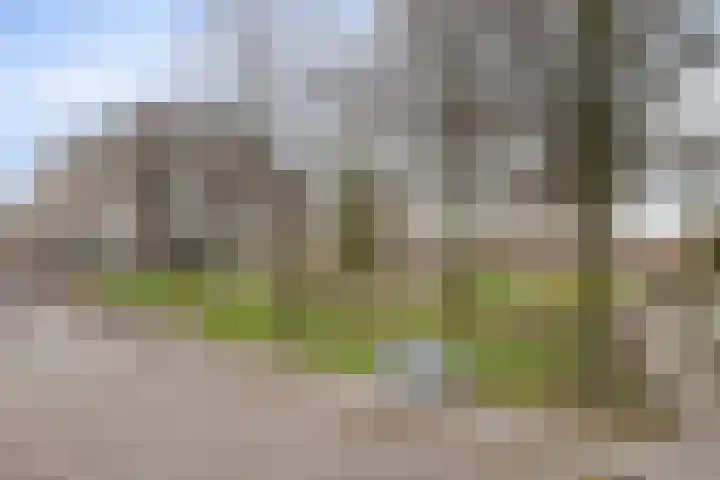 Ringbaan-Noord 156 20 Tilburg thumbnail 9