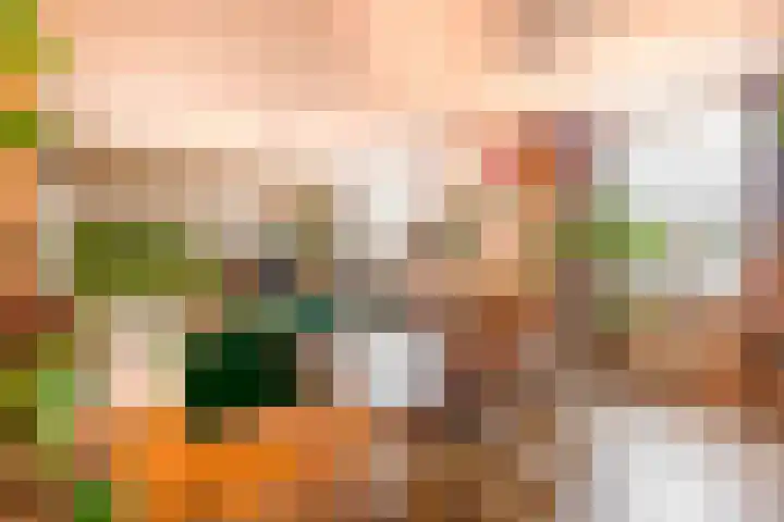Ringbaan-Noord 156 43 Tilburg thumbnail 13