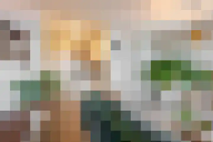 Ringbaan-Noord 156 43 Tilburg thumbnail 15