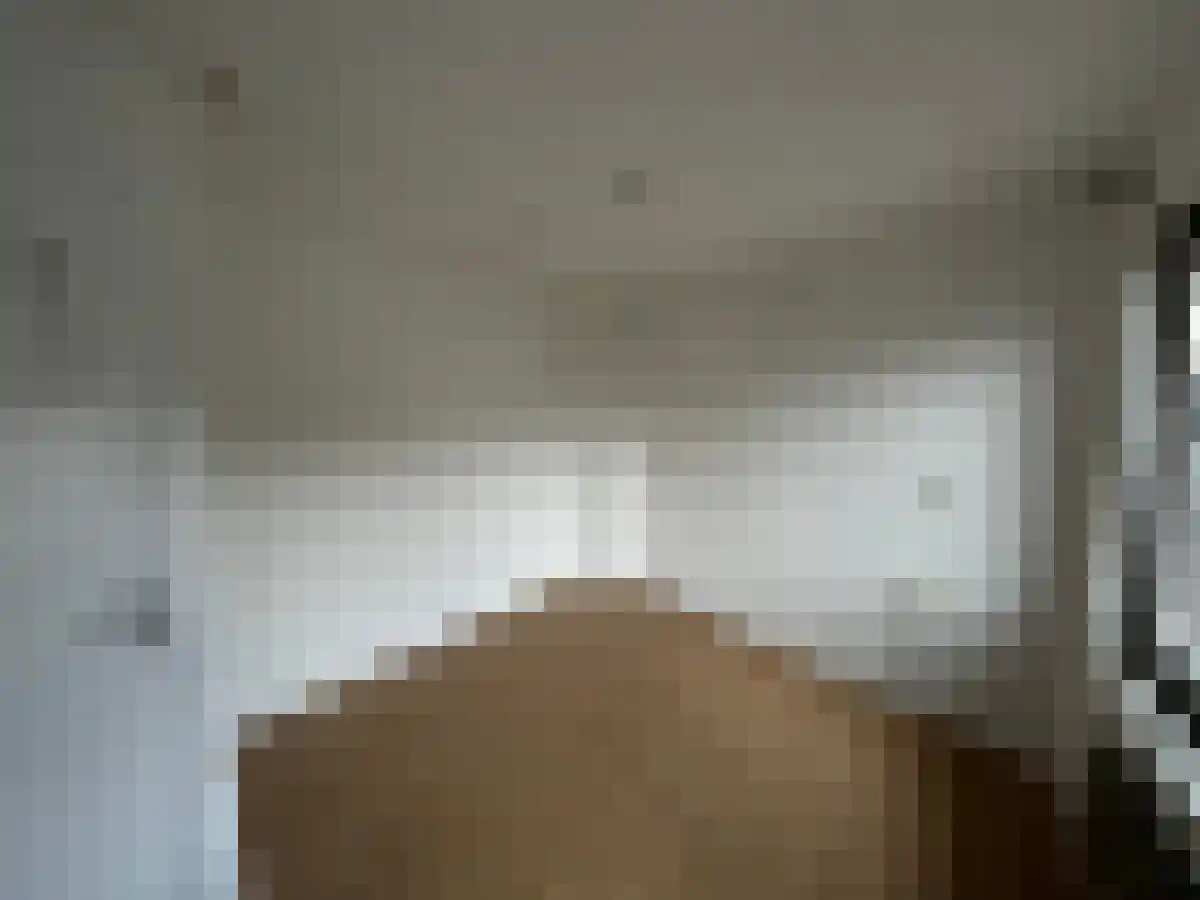 Ringbaan-Noord 268 3 Tilburg thumbnail 6