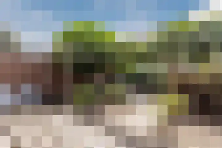 Ringbaan-Noord 268 Tilburg thumbnail 24