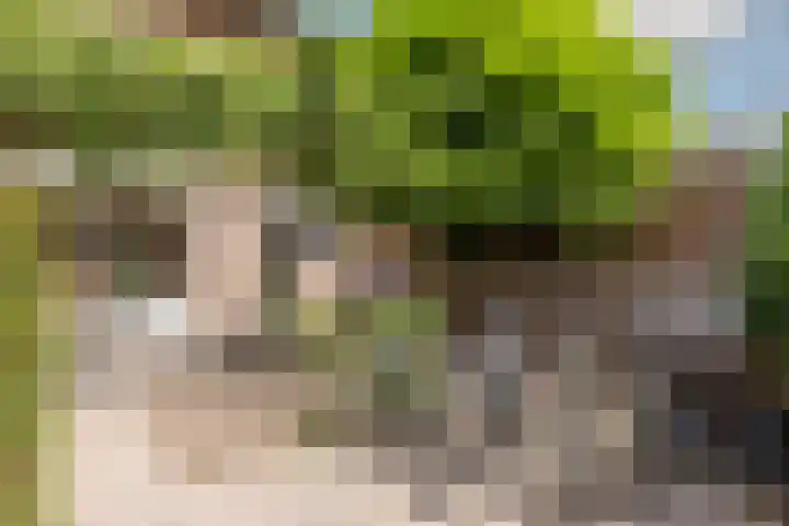 Ringbaan-Noord 268 Tilburg thumbnail 26