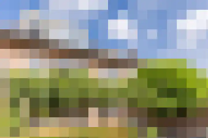 Ringbaan-Noord 268 Tilburg thumbnail 27