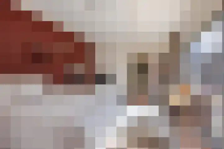 Ringbaan-Noord 268 Tilburg thumbnail 5