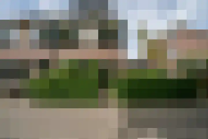 Ringbaan-Noord 32 Uden thumbnail 10