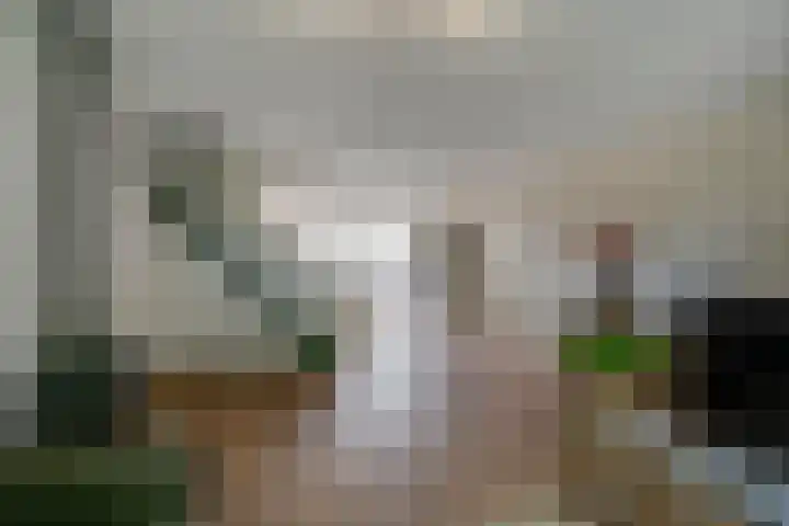 Ringbaan-Noord 32 Uden thumbnail 14